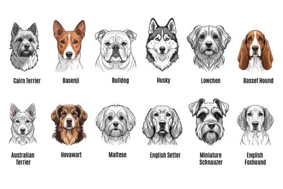 Dog Breed Vector Set Review